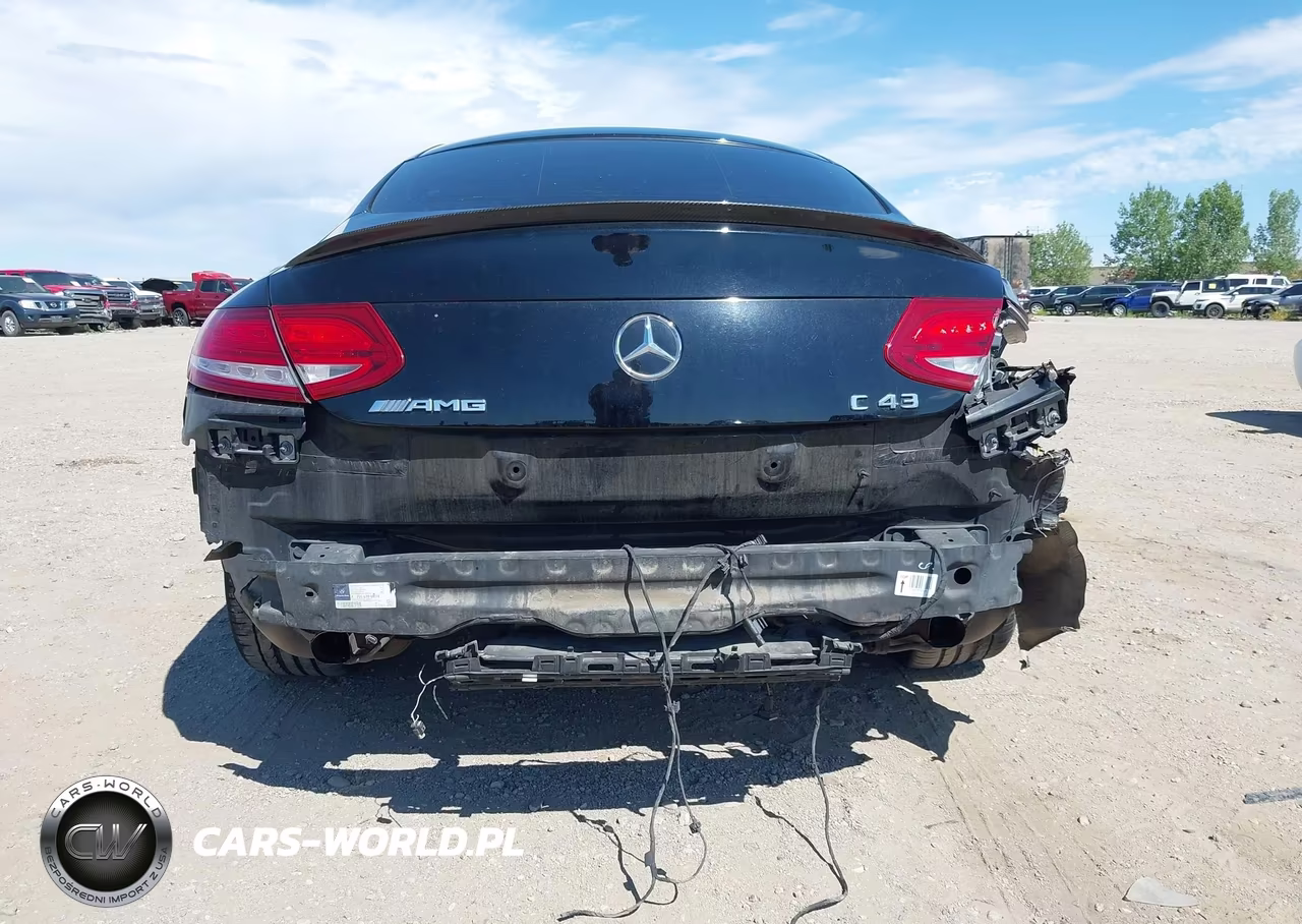 2017 Mercedes-Benz Amg C 43 4Matic VIN:WDDWJ6EB8HF496314 - 17