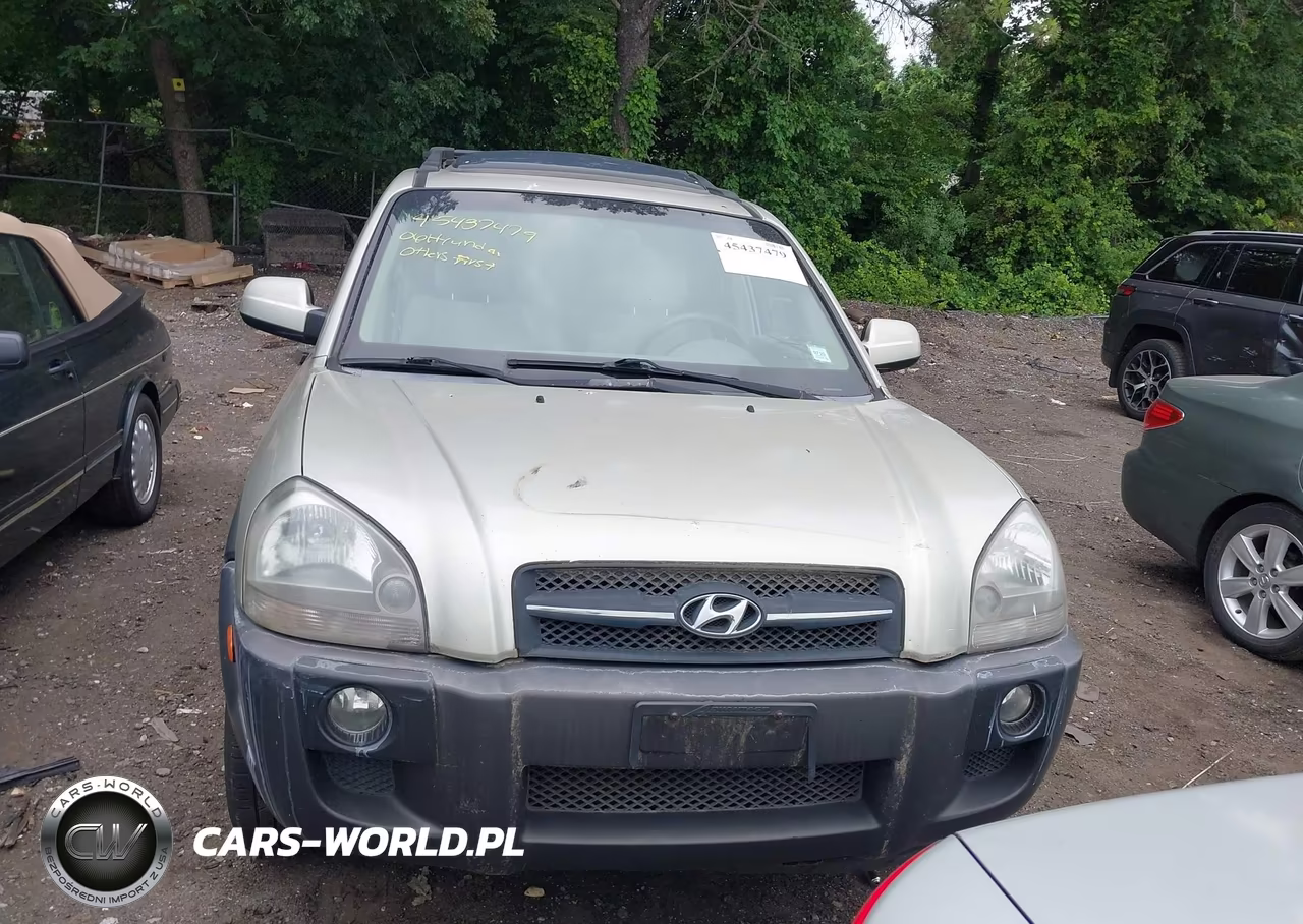 2006 Hyundai Tucson Gls-Limited VIN:KM8JN72D66U444169 - 6