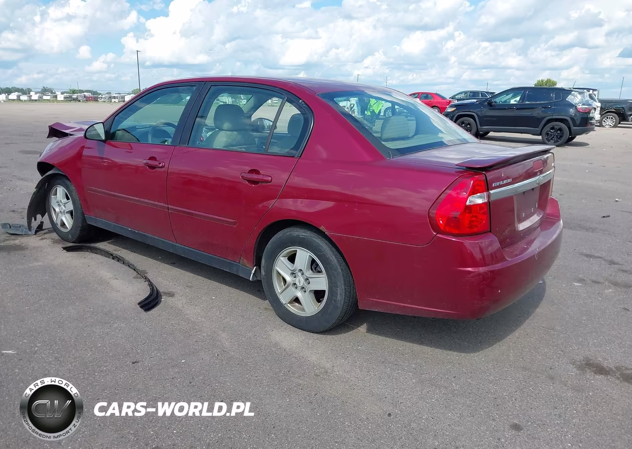2005 Chevrolet Malibu Ls VIN:1G1ZT54815F274381 - 3