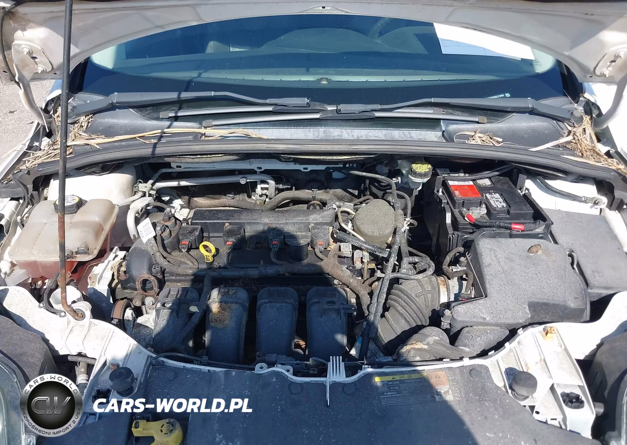 2013 Ford Focus Titanium VIN:1FADP3N26DL218463 - 10