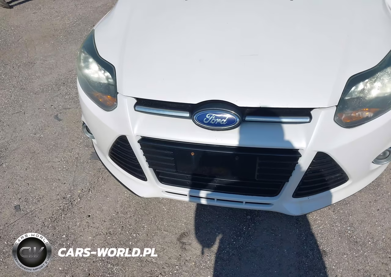 2013 Ford Focus Titanium VIN:1FADP3N26DL218463 - 6