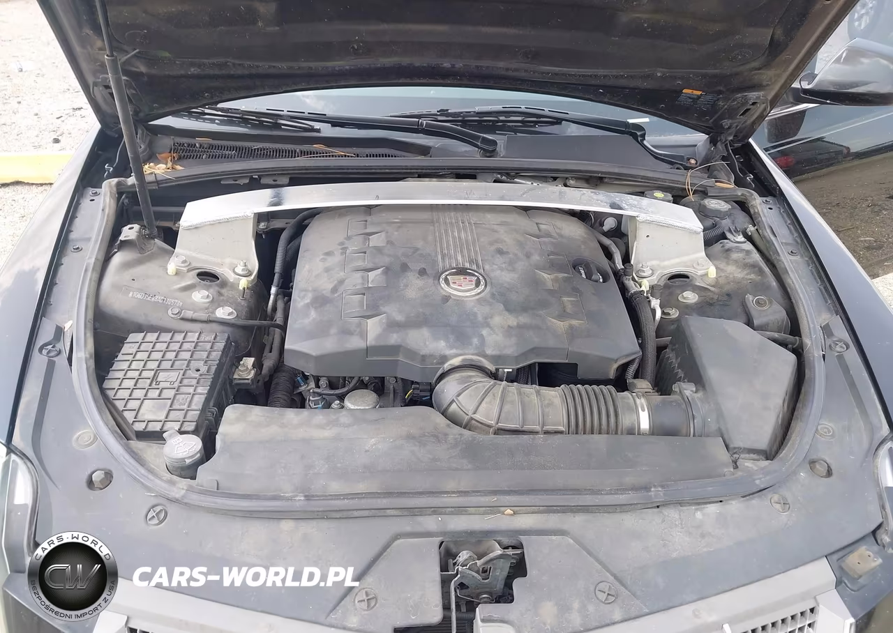 2010 Cadillac Cts Performance VIN:1G6DJ5EV8A0130578 - 10