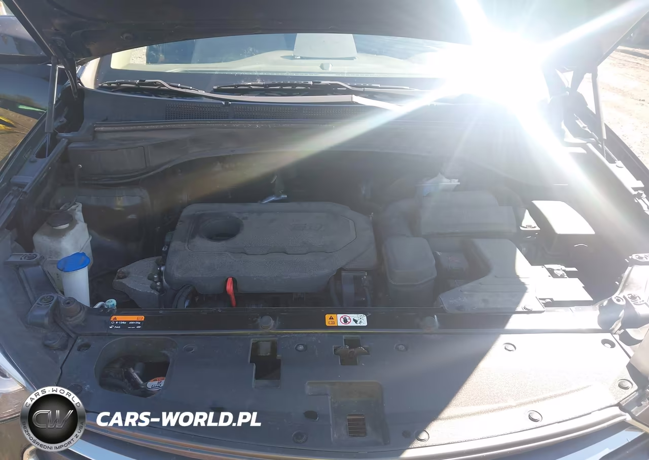 2017 Hyundai Santa Fe Sport 2.4L VIN:5NMZUDLB4HH014141 - 10