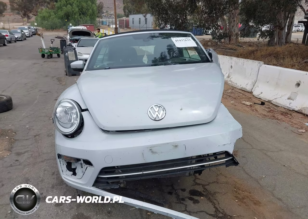 2018 Volkswagen Beetle 2.0T Coast-2.0T S-2.0T Se VIN:3VW5DAAT2JM518115 - 12