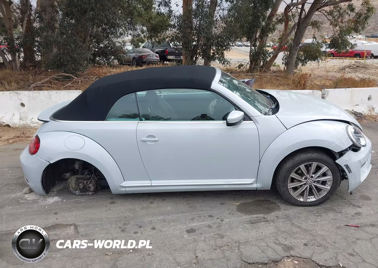 2018 Volkswagen Beetle 2.0T Coast-2.0T S-2.0T Se VIN:3VW5DAAT2JM518115 - 13