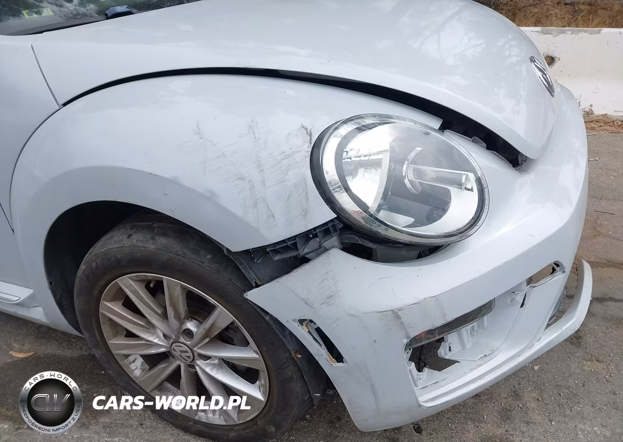 2018 Volkswagen Beetle 2.0T Coast-2.0T S-2.0T Se VIN:3VW5DAAT2JM518115 - 17