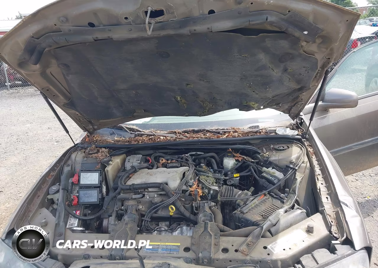 2003 Chevrolet Impala VIN:2G1WF52E539436005 - 10