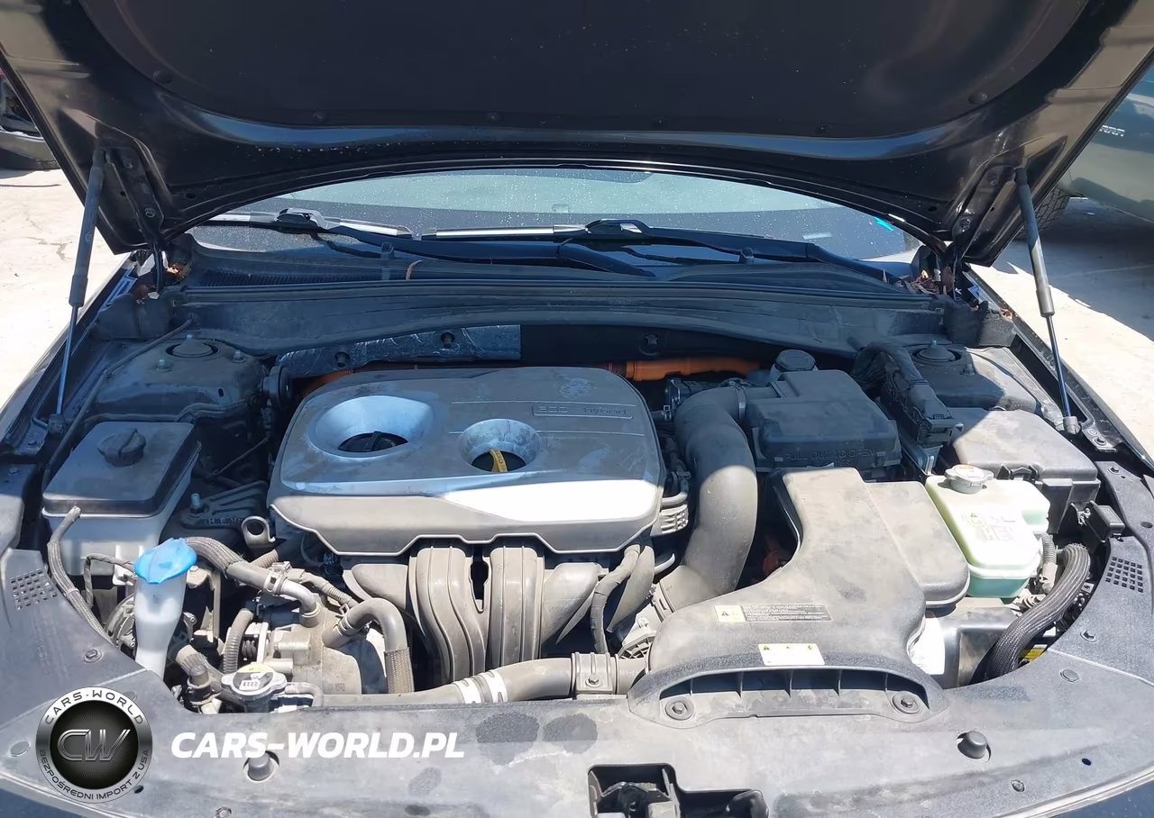 2019 Kia Optima Hybrid Ex VIN:KNAGU4LE4K5032521 - 10
