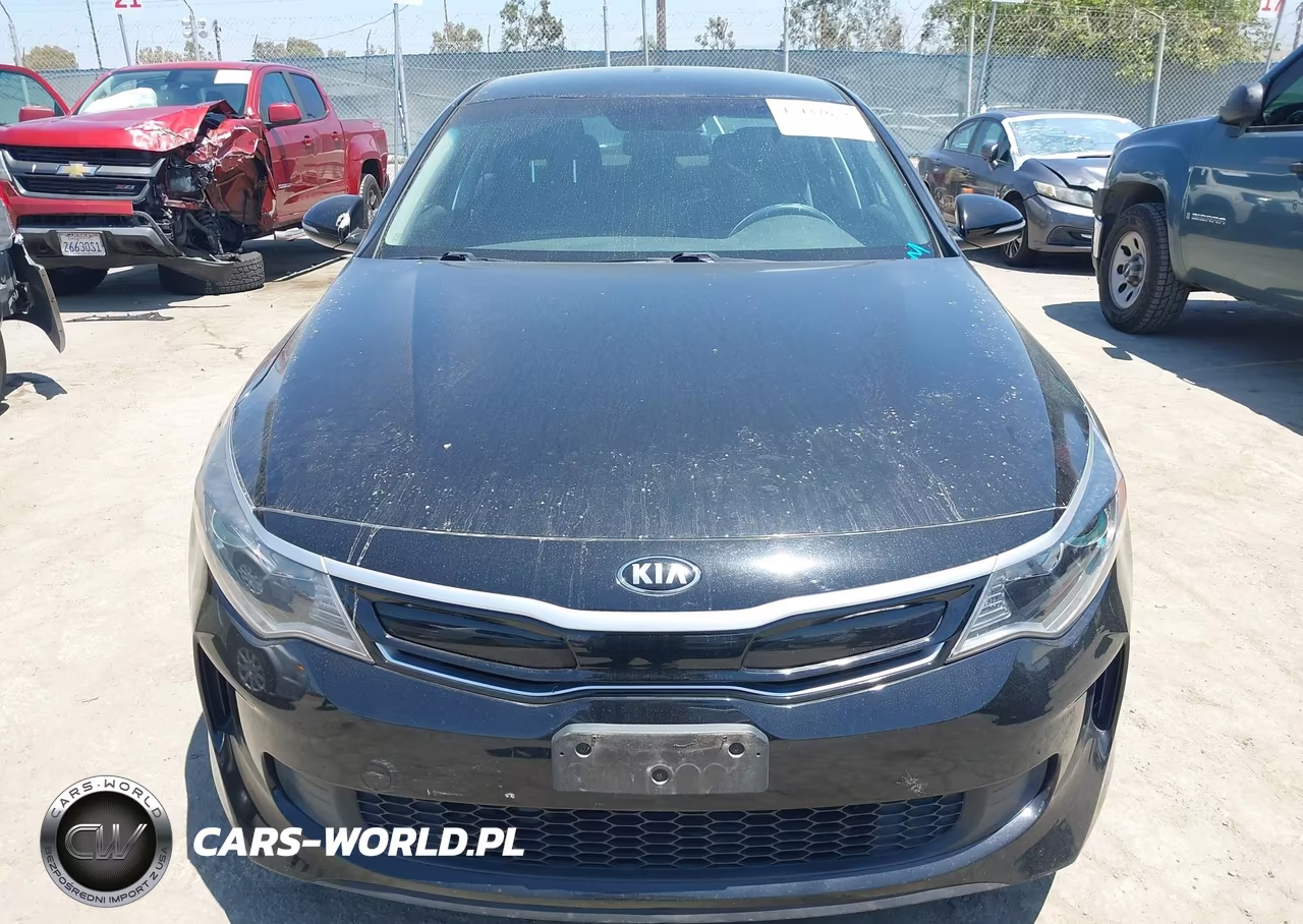2019 Kia Optima Hybrid Ex VIN:KNAGU4LE4K5032521 - 12
