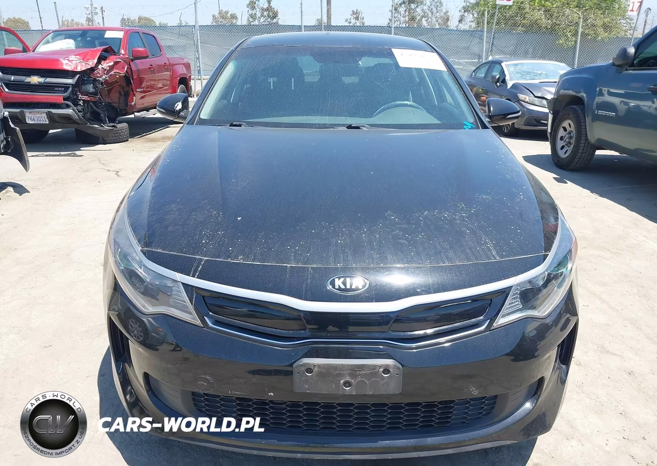 2019 Kia Optima Hybrid Ex VIN:KNAGU4LE4K5032521 - 6