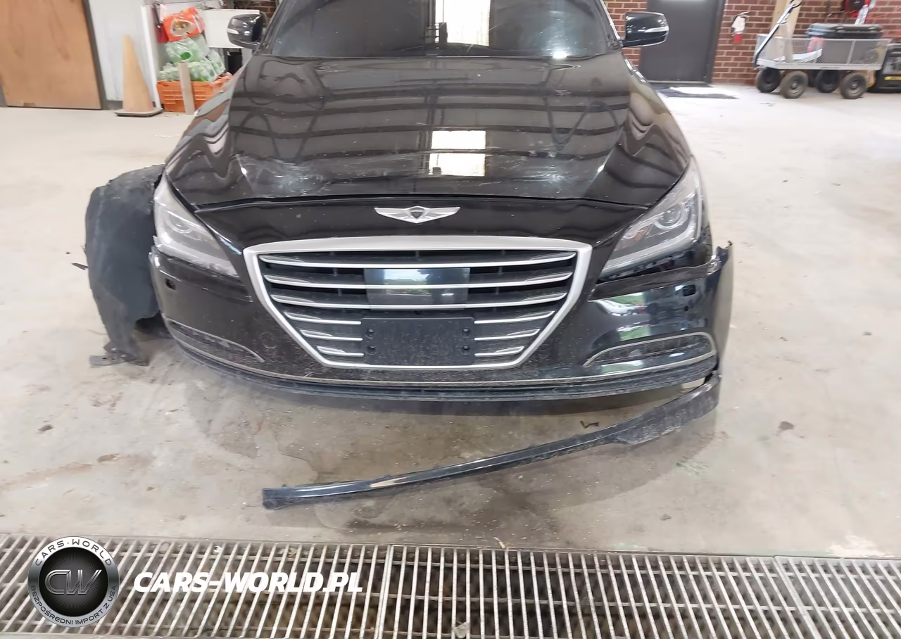 2015 Hyundai Genesis 3.8 VIN:KMHGN4JE3FU042225 - 12