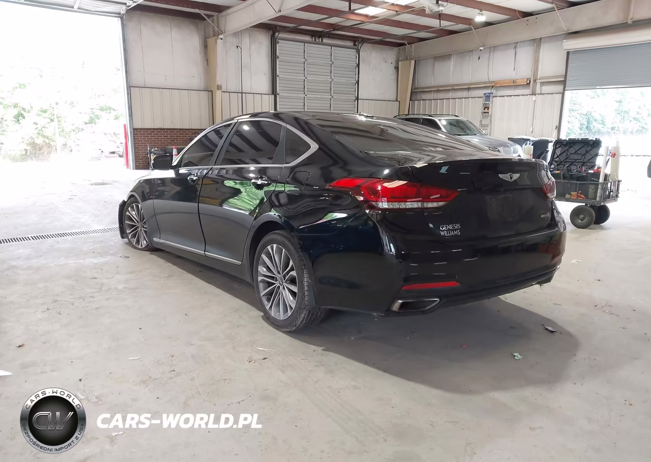 2015 Hyundai Genesis 3.8 VIN:KMHGN4JE3FU042225 - 3