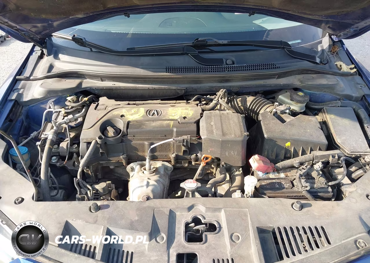 2016 Acura Ilx 2.4L-Acurawatch Plus Package VIN:19UDE2F36GA007265 - 10