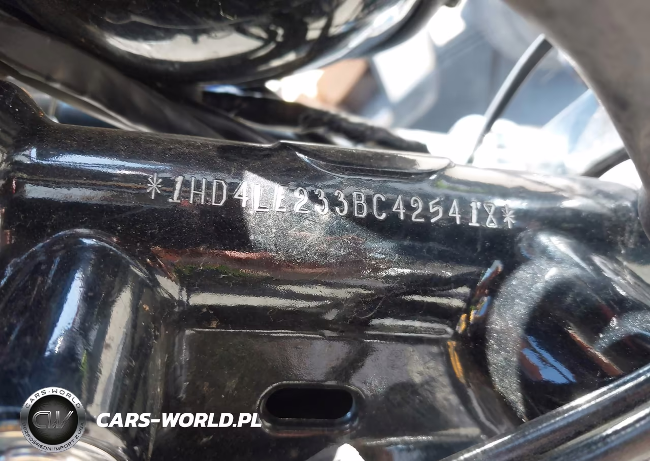 2011 Harley-Davidson Xl883 N VIN:1HD4LE233BC425418 - 10