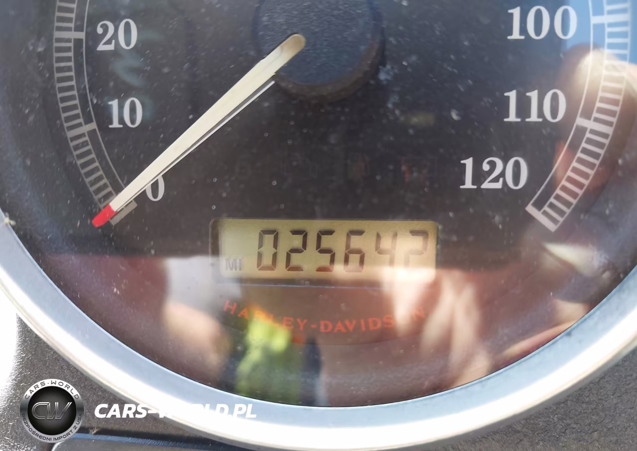 2011 Harley-Davidson Xl883 N VIN:1HD4LE233BC425418 - 7