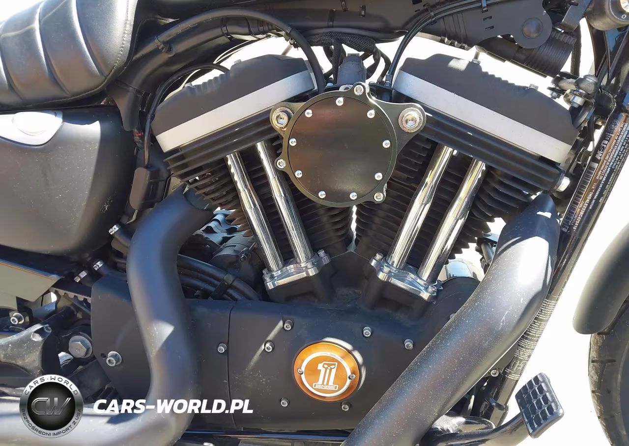 2011 Harley-Davidson Xl883 N VIN:1HD4LE233BC425418 - 8