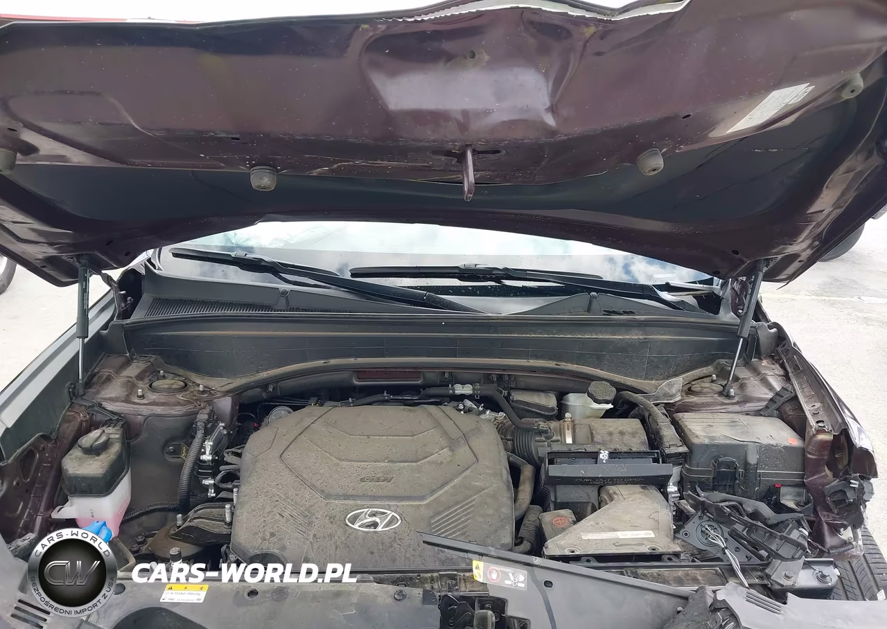2023 Hyundai Palisade Limited VIN:KM8R5DGE2PU635575 - 10
