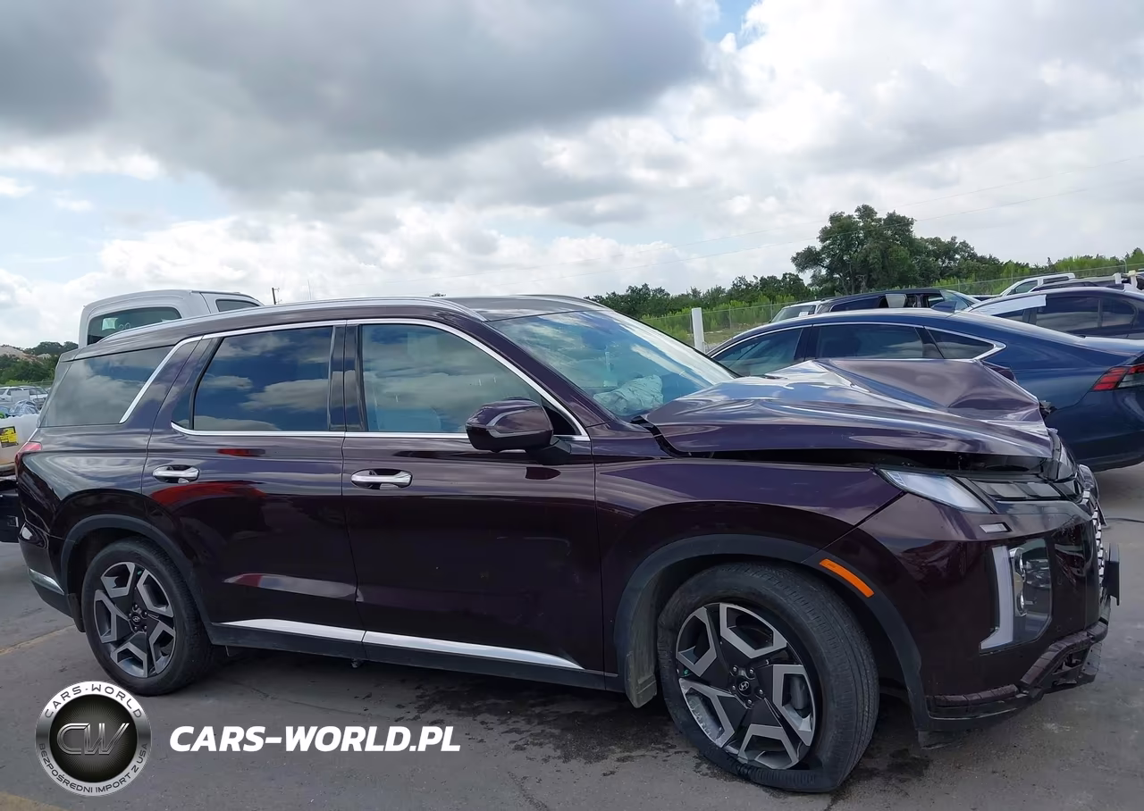 2023 Hyundai Palisade Limited VIN:KM8R5DGE2PU635575 - 13