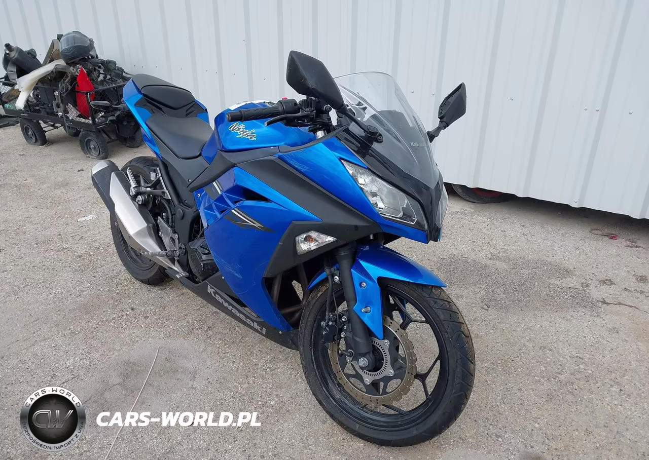 2017 Kawasaki Ex300 B – zdjęcie 1 z 13