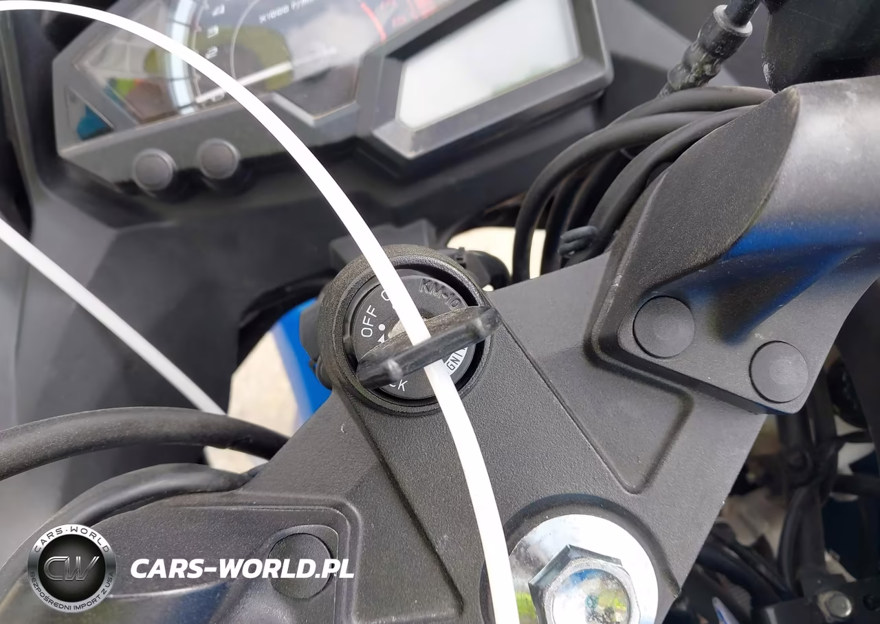 2017 Kawasaki Ex300 B VIN:JKAEX8B18HDA33819 - 11