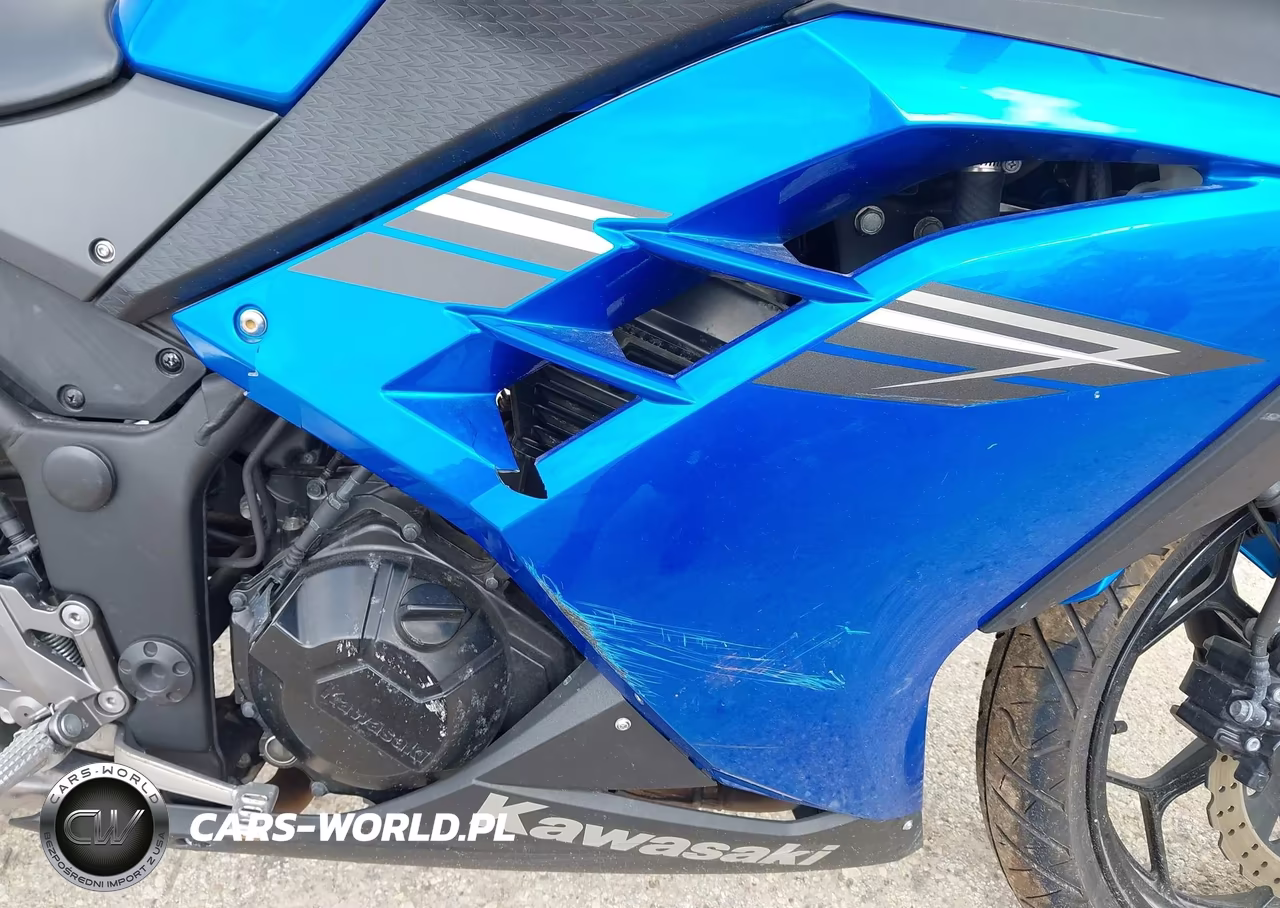2017 Kawasaki Ex300 B VIN:JKAEX8B18HDA33819 - 8