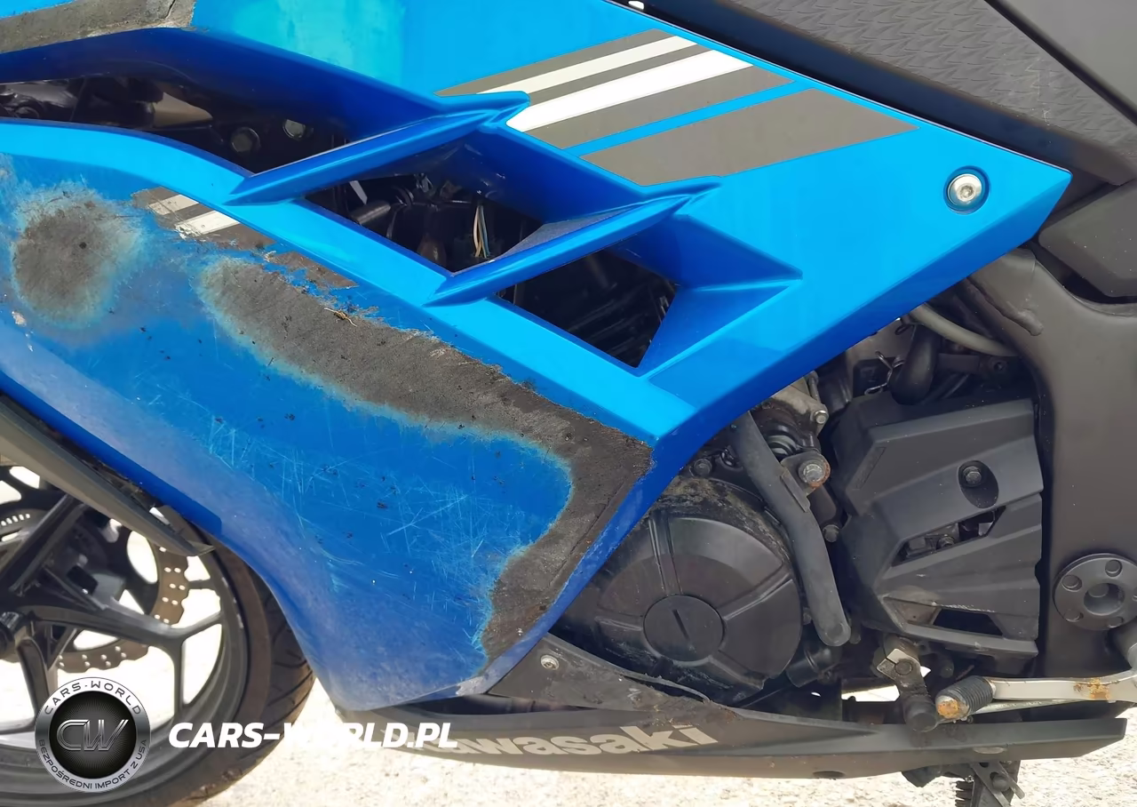 2017 Kawasaki Ex300 B VIN:JKAEX8B18HDA33819 - 9