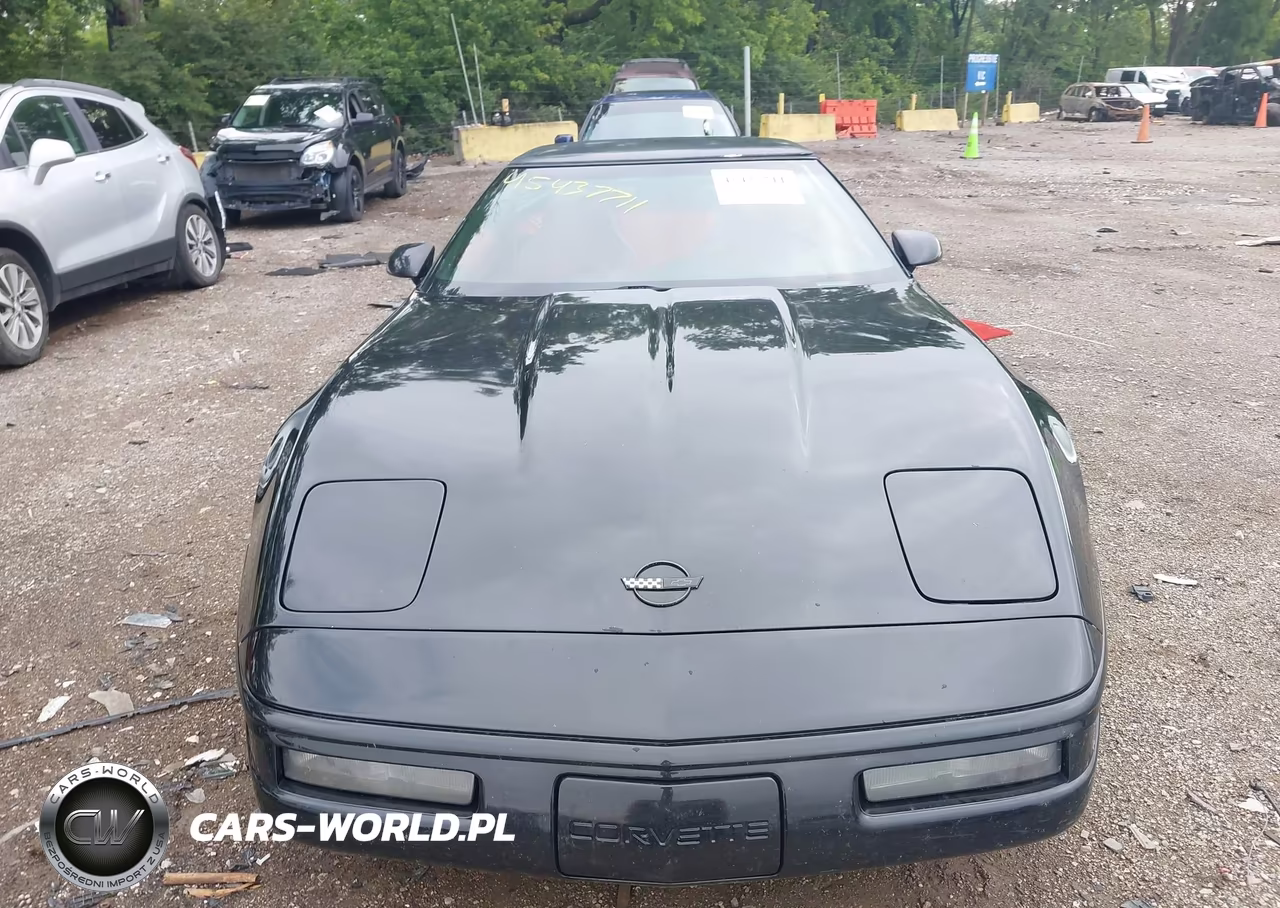 1996 Chevrolet Corvette VIN:1G1YY22P1T5100299 - 12