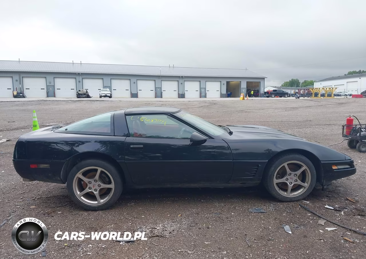 1996 Chevrolet Corvette VIN:1G1YY22P1T5100299 - 13