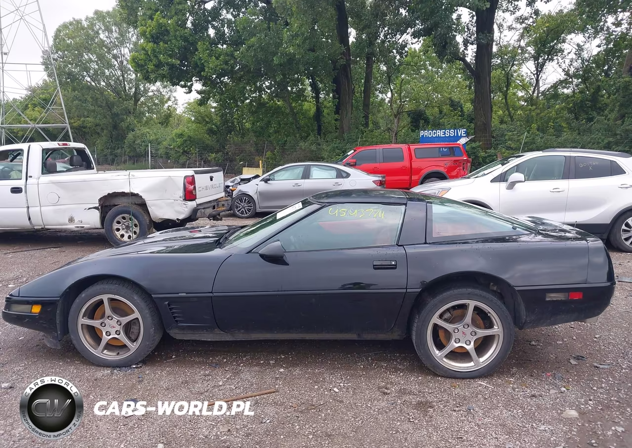 1996 Chevrolet Corvette VIN:1G1YY22P1T5100299 - 14