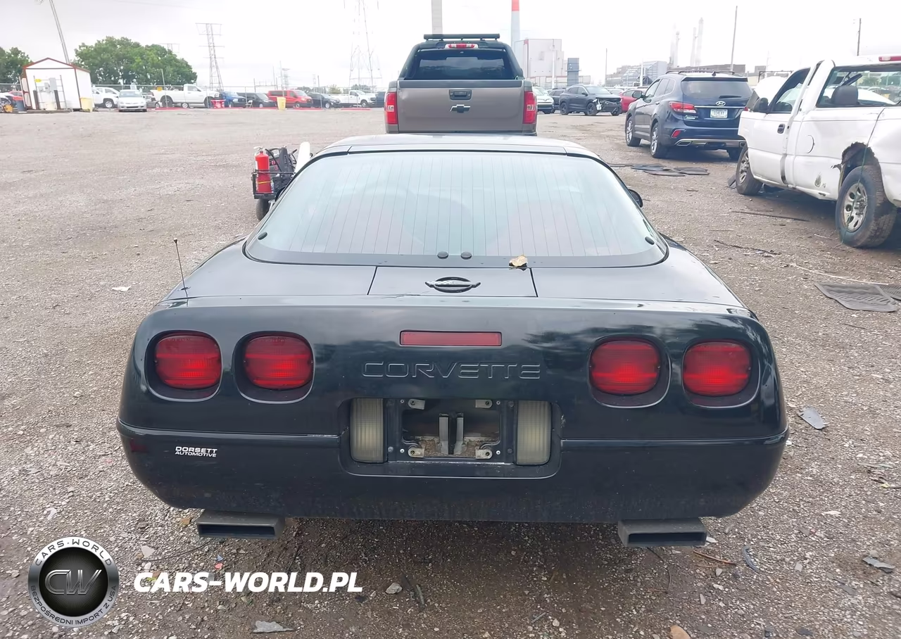 1996 Chevrolet Corvette VIN:1G1YY22P1T5100299 - 16
