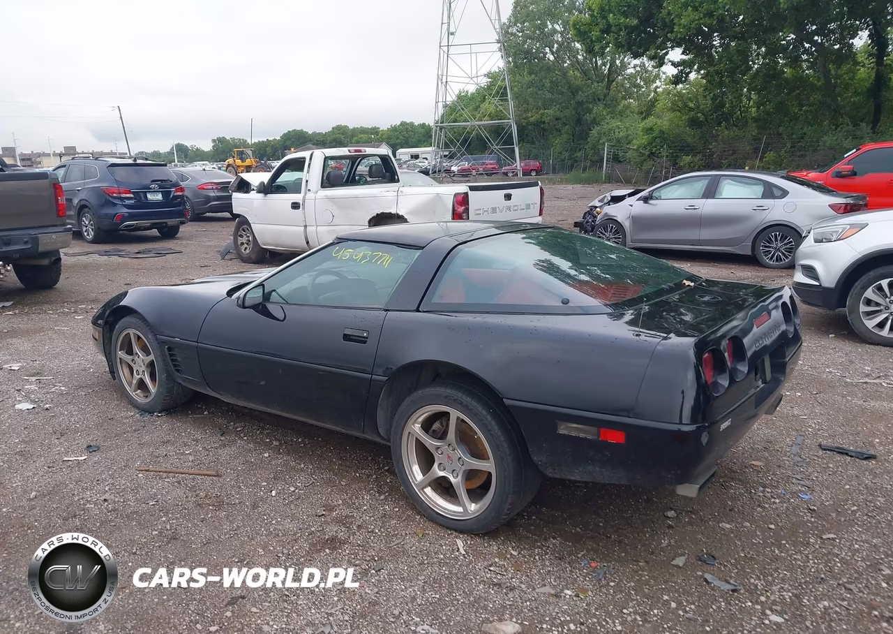 1996 Chevrolet Corvette VIN:1G1YY22P1T5100299 - 3
