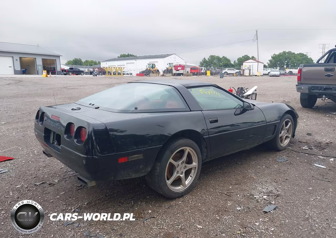 1996 Chevrolet Corvette VIN:1G1YY22P1T5100299 - 4