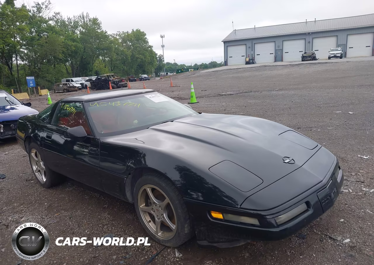 1996 Chevrolet Corvette VIN:1G1YY22P1T5100299 - 6