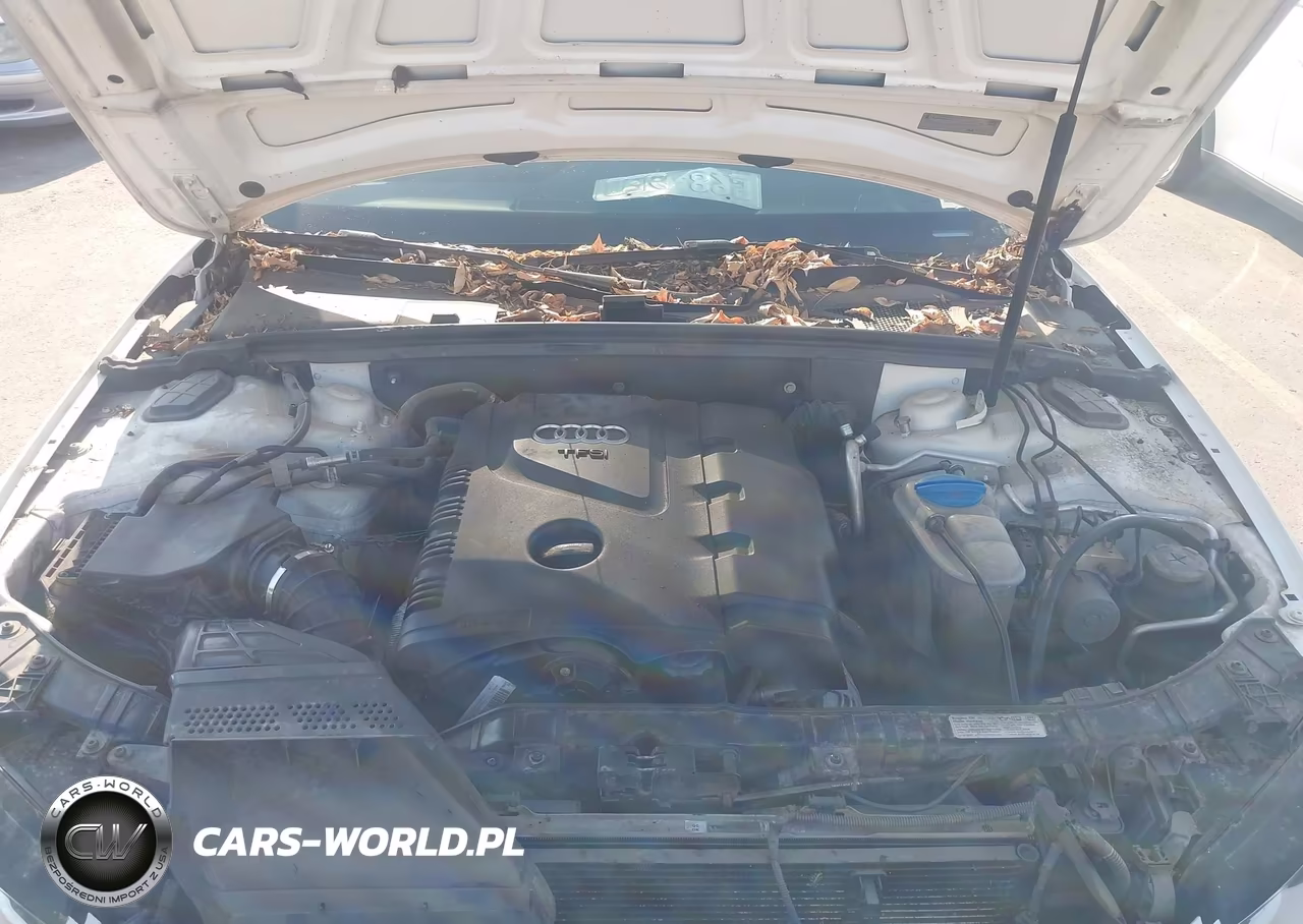 2012 Audi A4 2.0T Premium Plus VIN:WAUFFAFL7CN016135 - 10