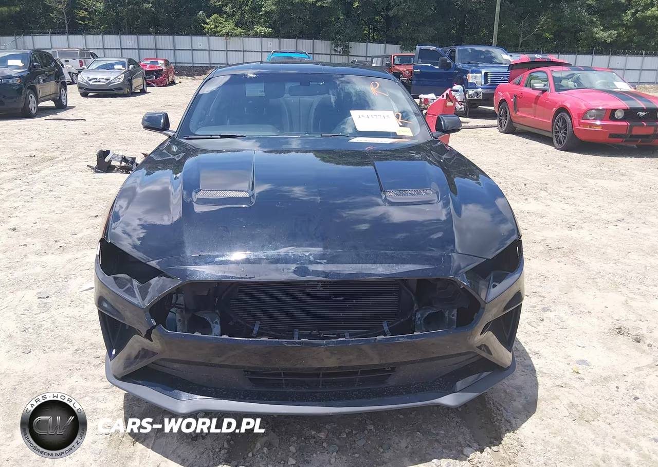2020 Ford Mustang Ecoboost Fastback VIN:1FA6P8TH6L5175694 - 13