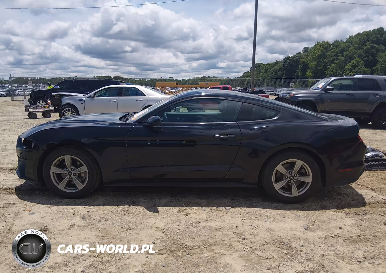 2020 Ford Mustang Ecoboost Fastback VIN:1FA6P8TH6L5175694 - 15