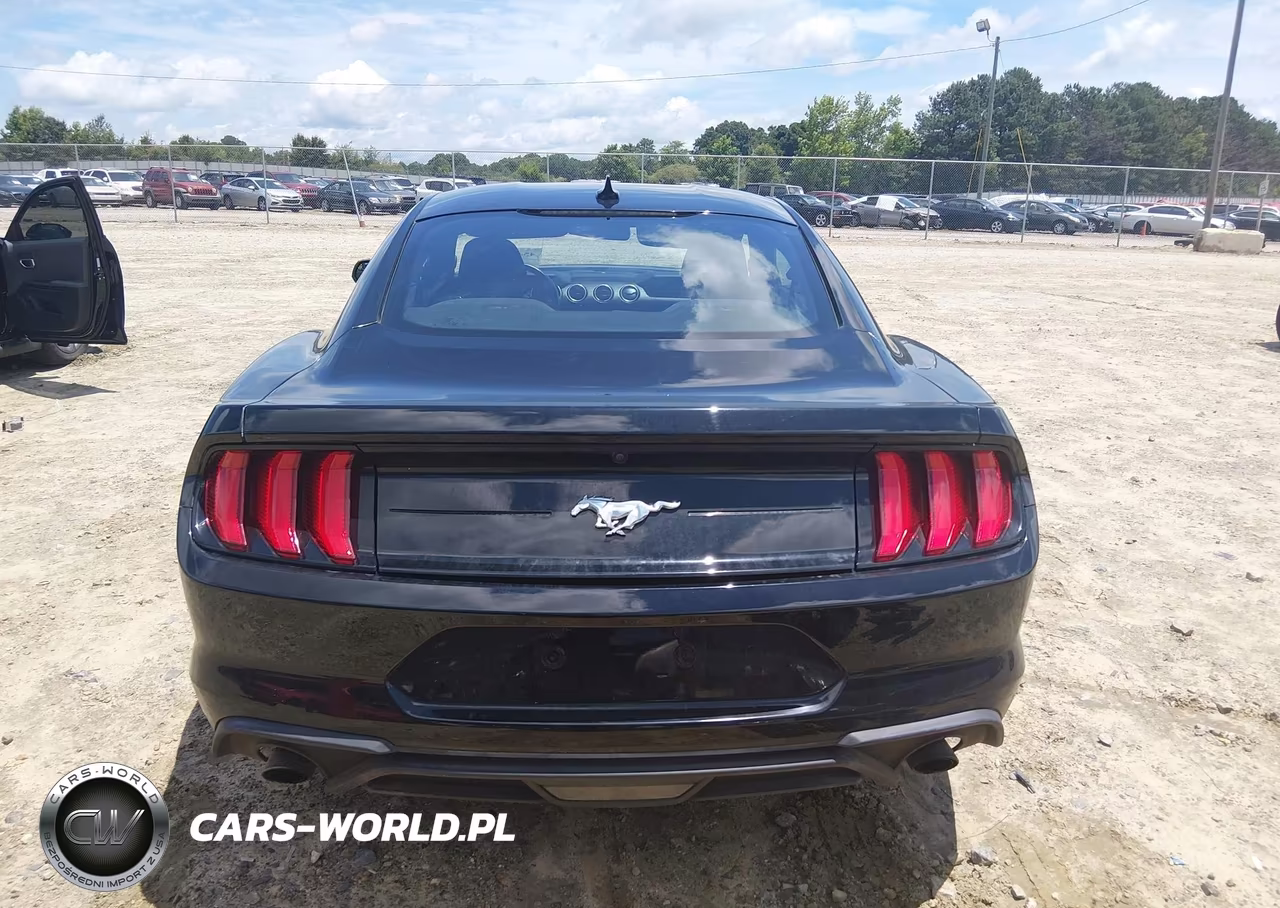 2020 Ford Mustang Ecoboost Fastback VIN:1FA6P8TH6L5175694 - 17