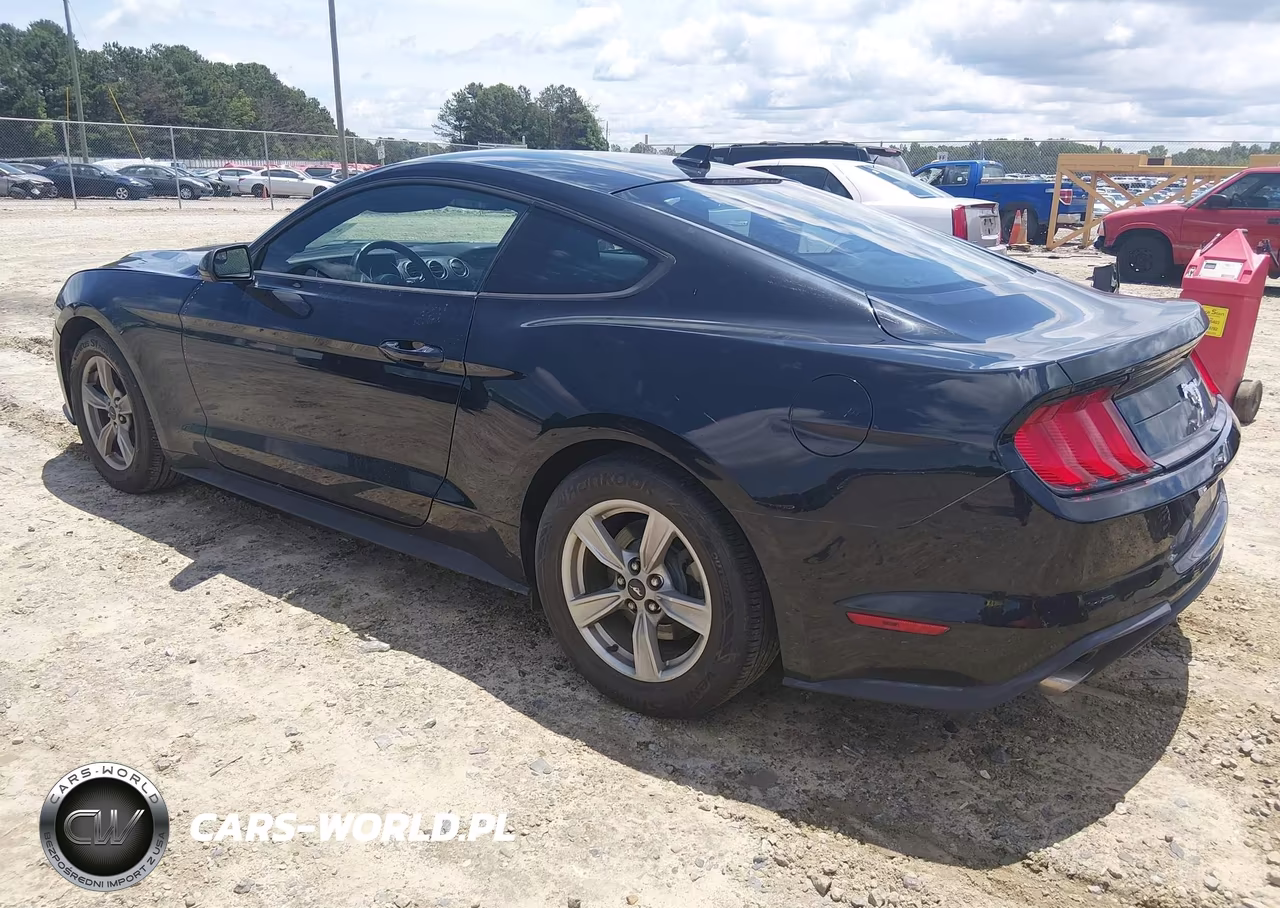 2020 Ford Mustang Ecoboost Fastback VIN:1FA6P8TH6L5175694 - 3