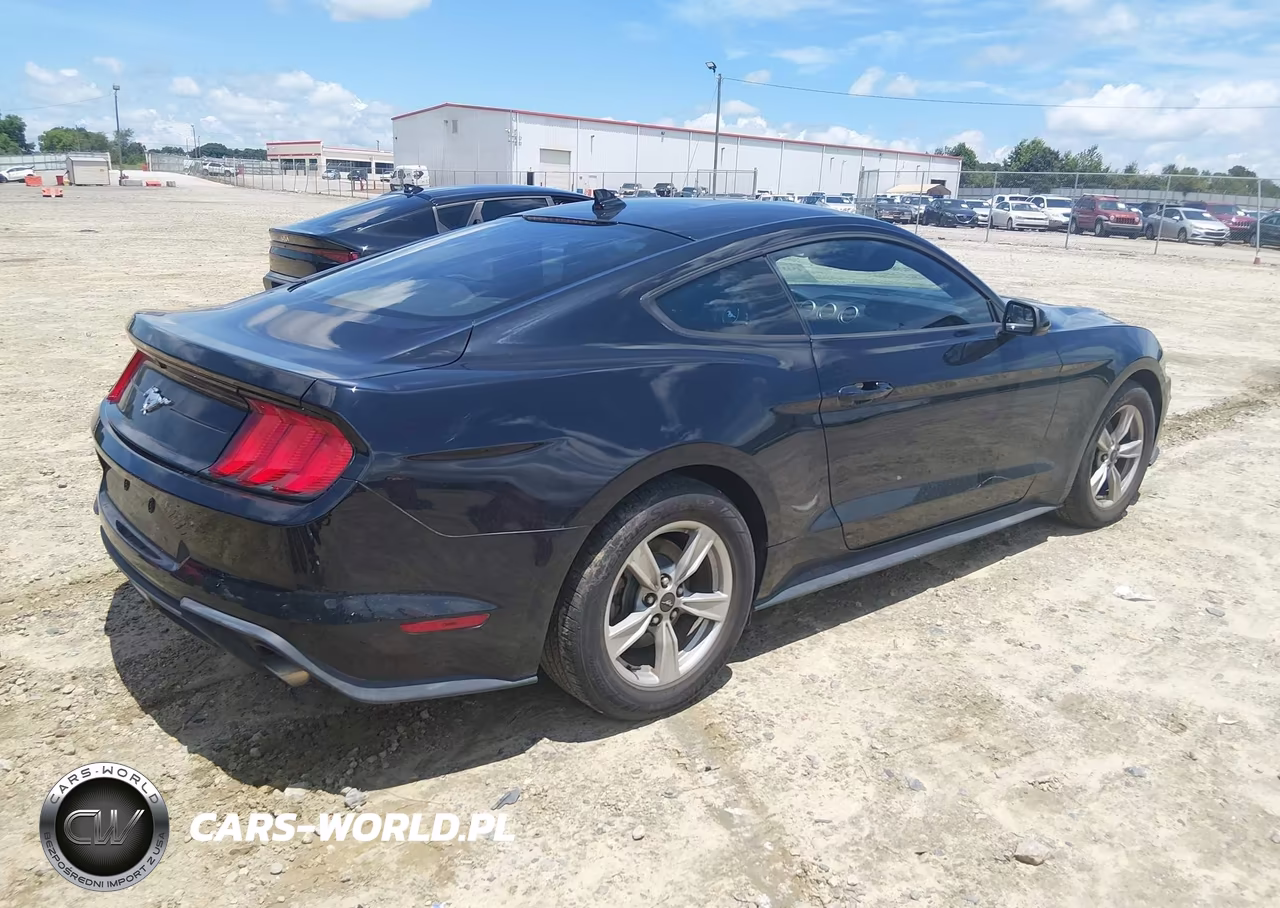 2020 Ford Mustang Ecoboost Fastback VIN:1FA6P8TH6L5175694 - 4