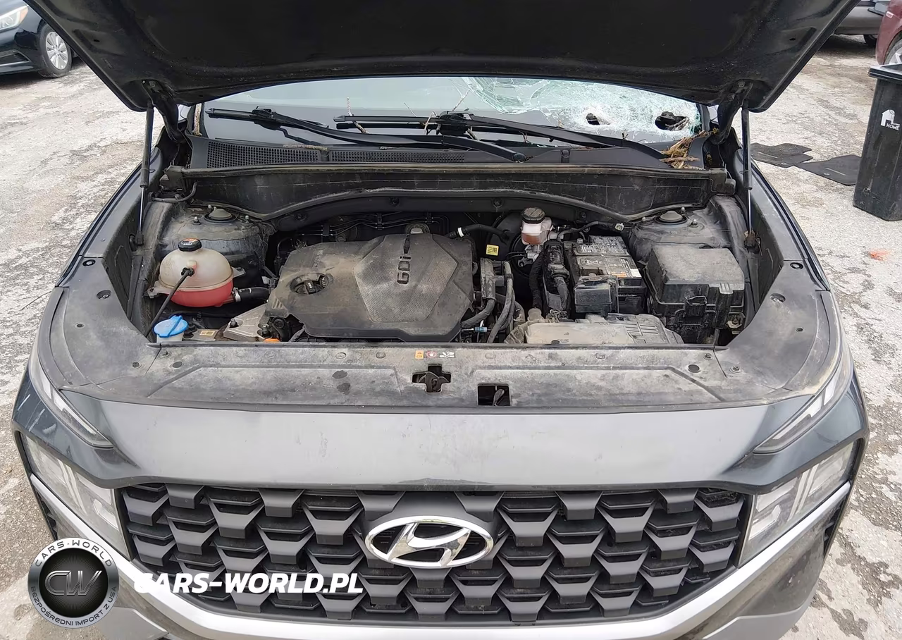 2023 Hyundai Santa Fe Sel VIN:5NMS24AJ9PH634970 - 10