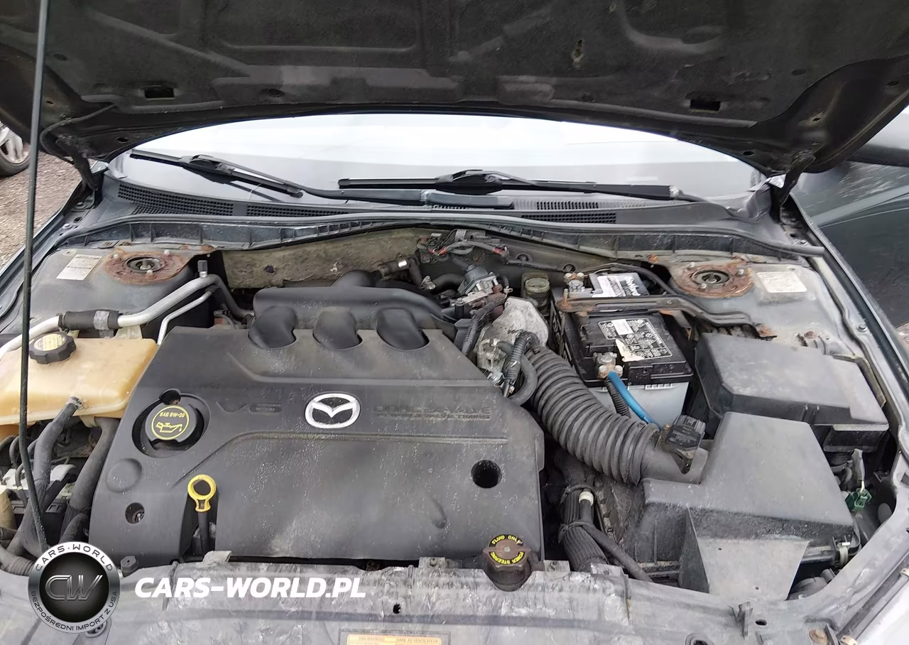 2004 Mazda Mazda6 S VIN:1YVFP84D445N93186 - 10