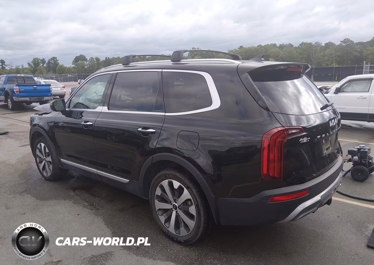2022 Kia Telluride S VIN:5XYP64HC0NG285559 - 3