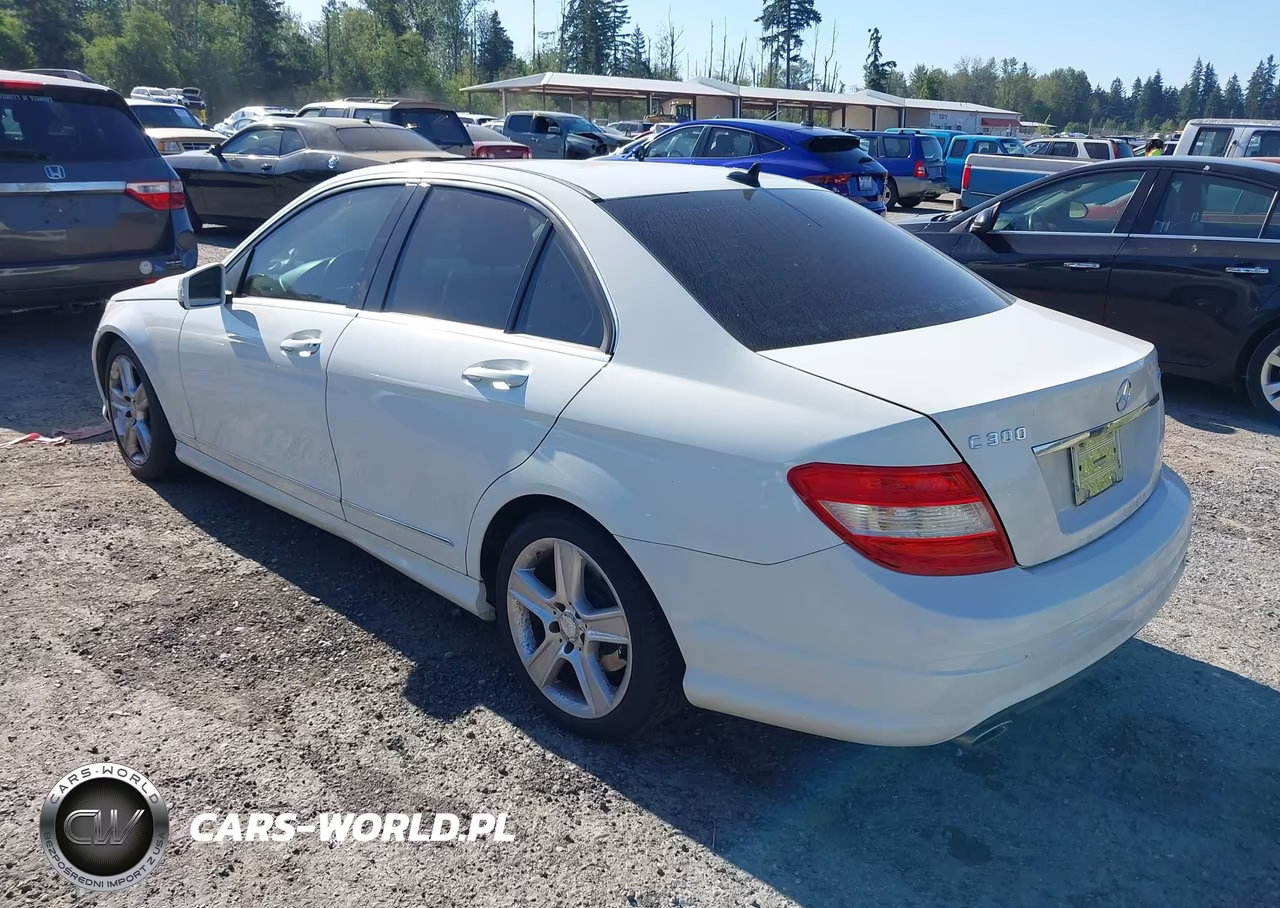 2010 Mercedes-Benz C 300 Luxury 4Matic-Sport 4Matic VIN:WDDGF8BBXAA908399 - 3