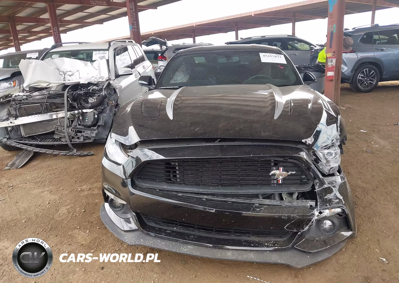 2016 Ford Mustang Gt-Gt Premium VIN:1FA6P8CF6G5206687 - 12
