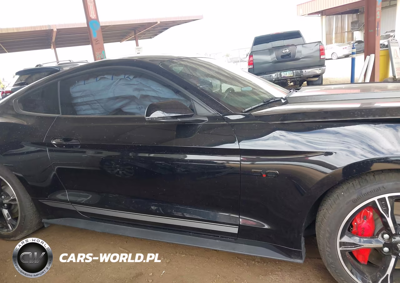 2016 Ford Mustang Gt-Gt Premium VIN:1FA6P8CF6G5206687 - 13