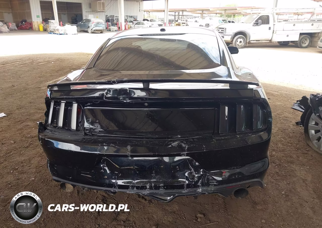 2016 Ford Mustang Gt-Gt Premium VIN:1FA6P8CF6G5206687 - 16
