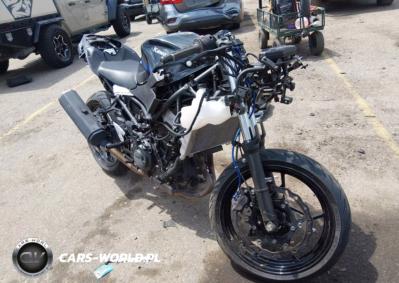 2025 Kawasaki Ex500 – zdjęcie 1 z 19
