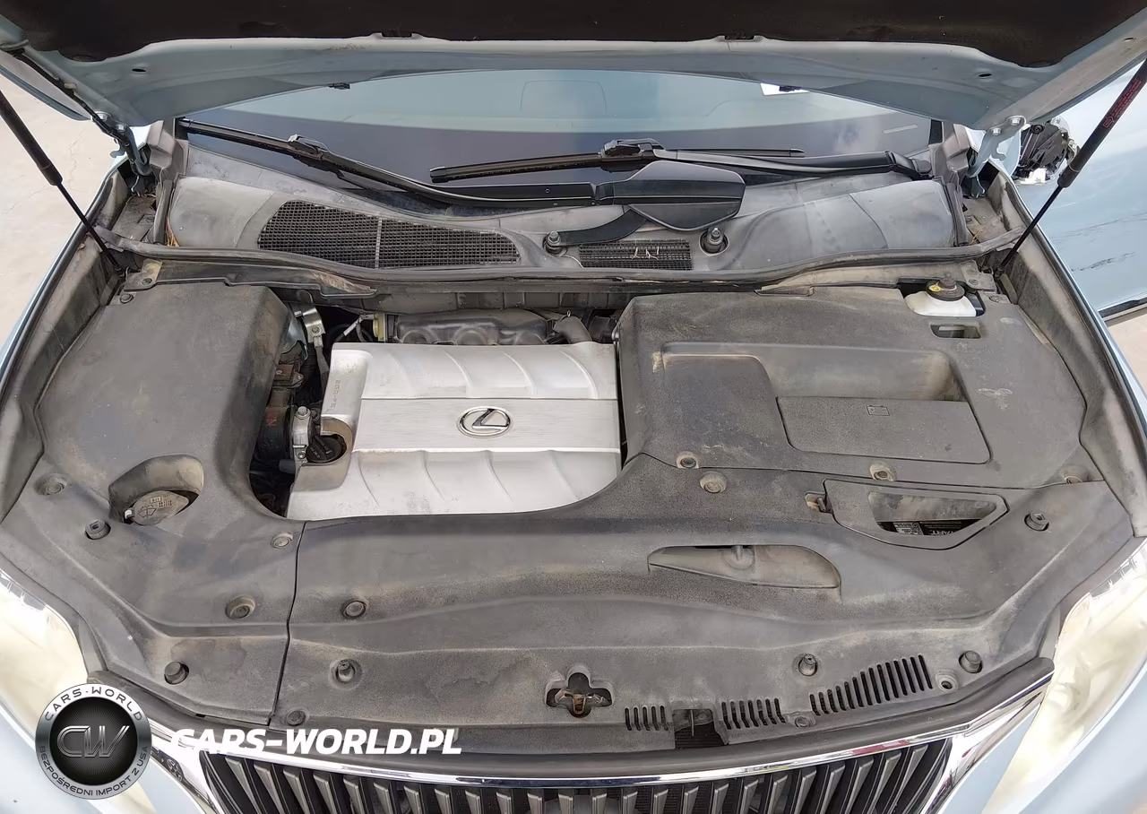 2010 Lexus Rx 350 VIN:JTJZK1BA7A2405322 - 10