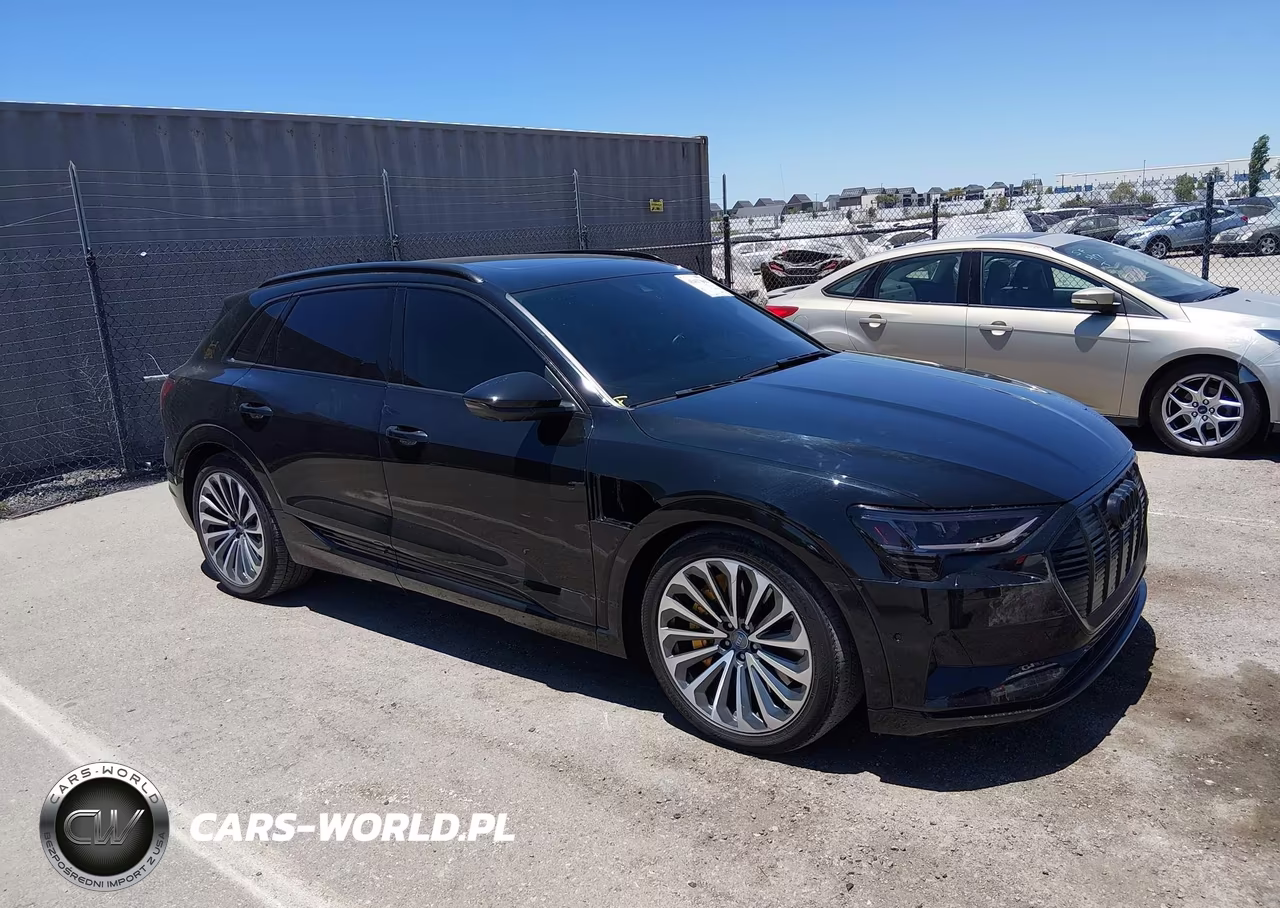 2019 Audi E-Tron Premium Plus – zdjęcie 1 z 20