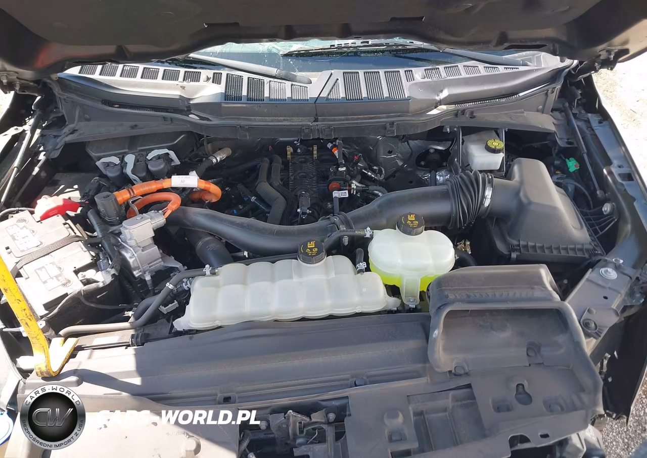2024 Ford F-150 Xlt VIN:1FTFW3LD6RFA06548 - 10